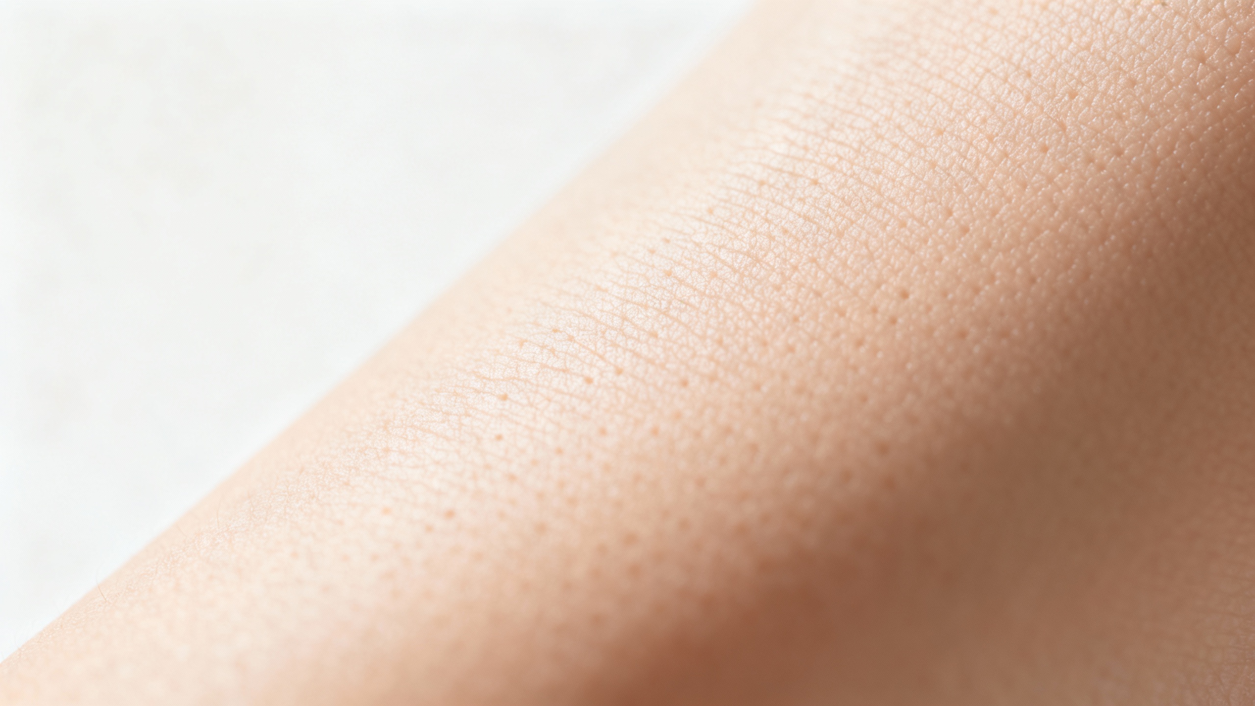 Featured image for Taking Control: Effective Ringworm Home Remedies You Can Try