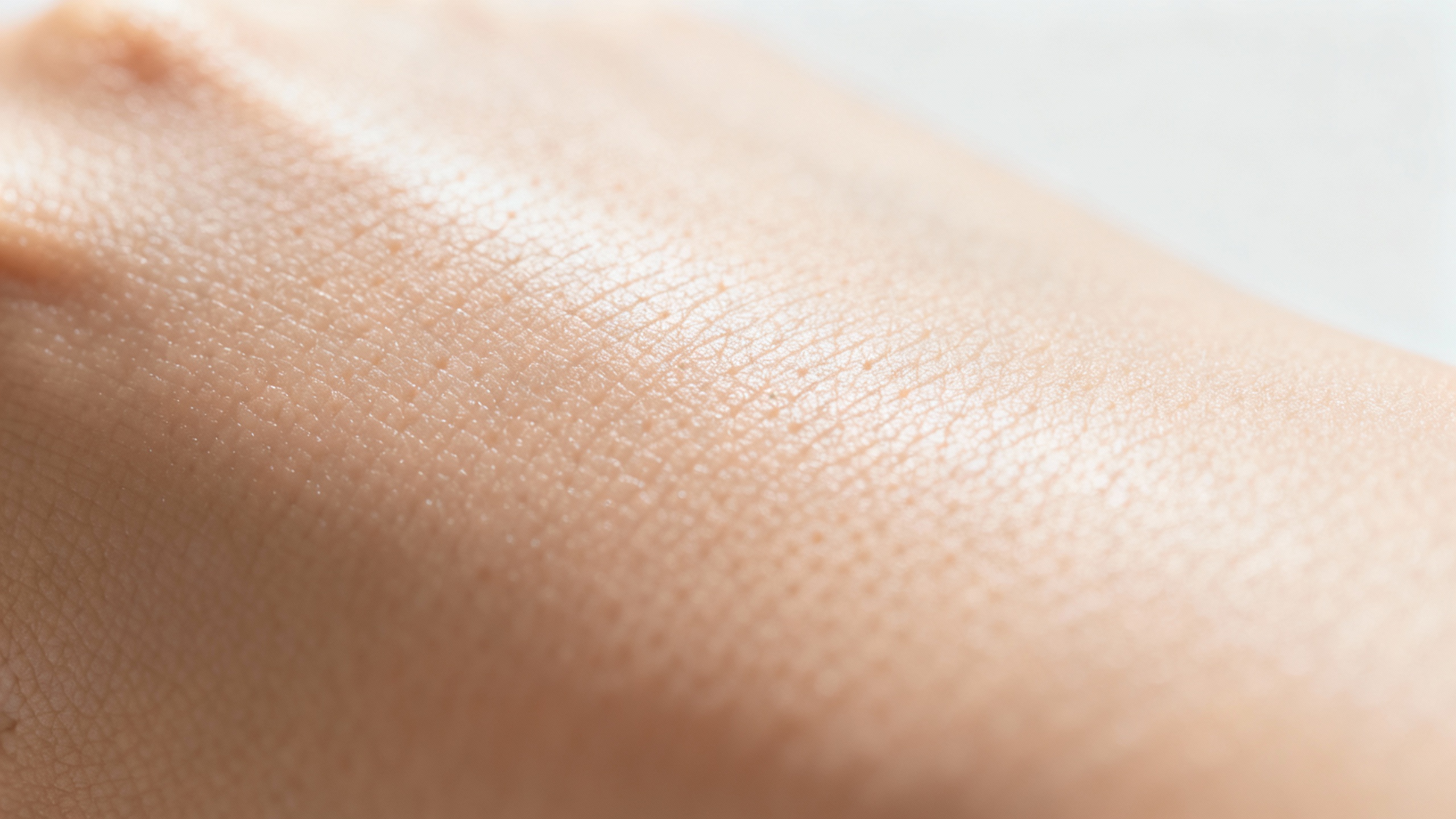 Your trusted guide to ringworm relief